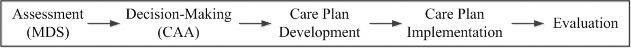 Assessment (M D S) Decision-making (C A A) Care Plan Development Care Plan Implementation Evaluation